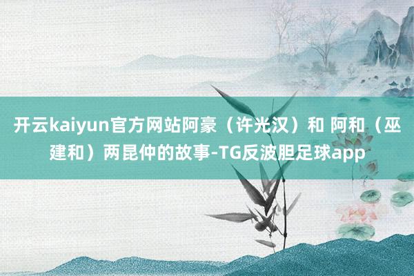 开云kaiyun官方网站阿豪（许光汉）和 阿和（巫建和）两昆仲的故事-TG反波胆足球app