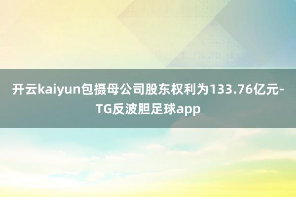 开云kaiyun包摄母公司股东权利为133.76亿元-TG反波胆足球app