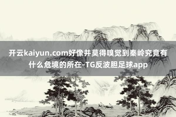 开云kaiyun.com好像并莫得嗅觉到秦岭究竟有什么危境的所在-TG反波胆足球app