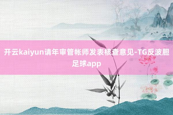 开云kaiyun请年审管帐师发表核查意见-TG反波胆足球app