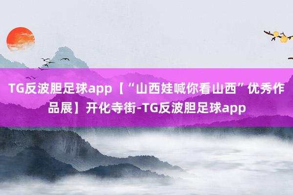 TG反波胆足球app【“山西娃喊你看山西”优秀作品展】开化寺街-TG反波胆足球app