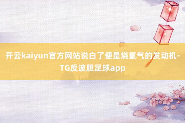 开云kaiyun官方网站说白了便是烧氢气的发动机-TG反波胆足球app