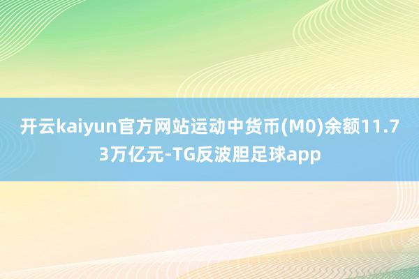 开云kaiyun官方网站运动中货币(M0)余额11.73万亿元-TG反波胆足球app