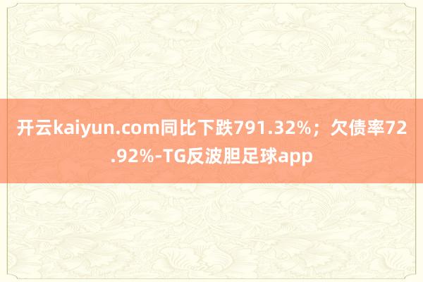 开云kaiyun.com同比下跌791.32%；欠债率72.92%-TG反波胆足球app