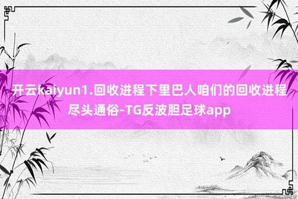 开云kaiyun1.回收进程下里巴人咱们的回收进程尽头通俗-TG反波胆足球app