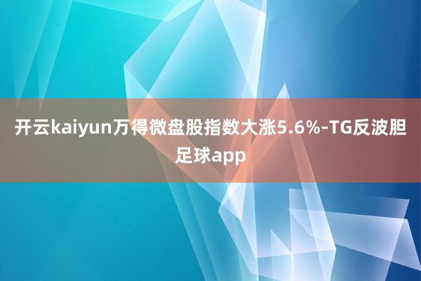 开云kaiyun万得微盘股指数大涨5.6%-TG反波胆足球app