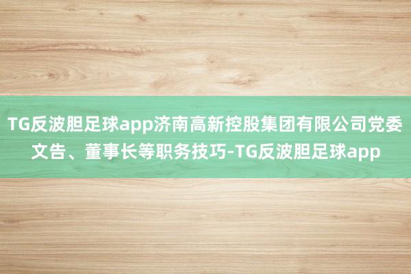 TG反波胆足球app济南高新控股集团有限公司党委文告、董事长等职务技巧-TG反波胆足球app