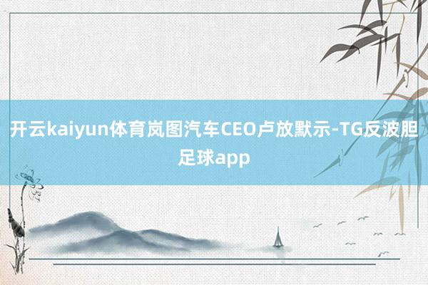 开云kaiyun体育岚图汽车CEO卢放默示-TG反波胆足球app