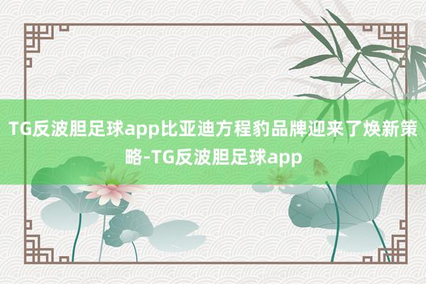 TG反波胆足球app比亚迪方程豹品牌迎来了焕新策略-TG反波胆足球app