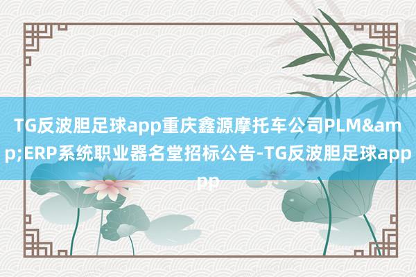 TG反波胆足球app重庆鑫源摩托车公司PLM&ERP系统职业器名堂招标公告-TG反波胆足球app