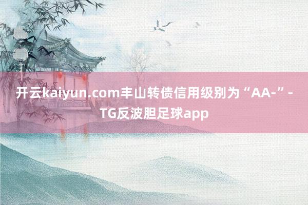 开云kaiyun.com丰山转债信用级别为“AA-”-TG反波胆足球app