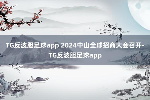 TG反波胆足球app 2024中山全球招商大会召开-TG反波胆足球app