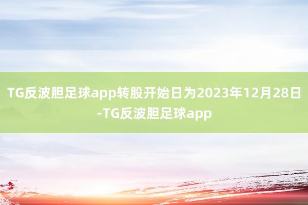 TG反波胆足球app转股开始日为2023年12月28日-TG反波胆足球app