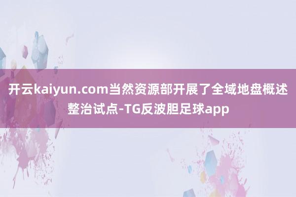 开云kaiyun.com当然资源部开展了全域地盘概述整治试点-TG反波胆足球app