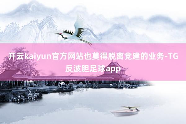 开云kaiyun官方网站也莫得脱离党建的业务-TG反波胆足球app