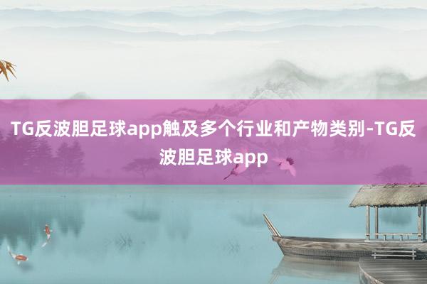 TG反波胆足球app触及多个行业和产物类别-TG反波胆足球app