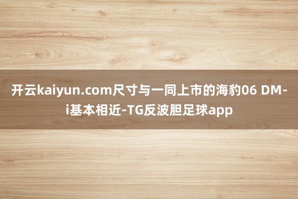 开云kaiyun.com尺寸与一同上市的海豹06 DM-i基本相近-TG反波胆足球app