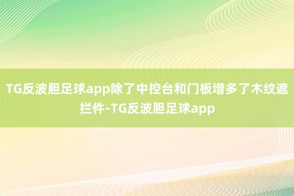 TG反波胆足球app除了中控台和门板增多了木纹遮拦件-TG反波胆足球app