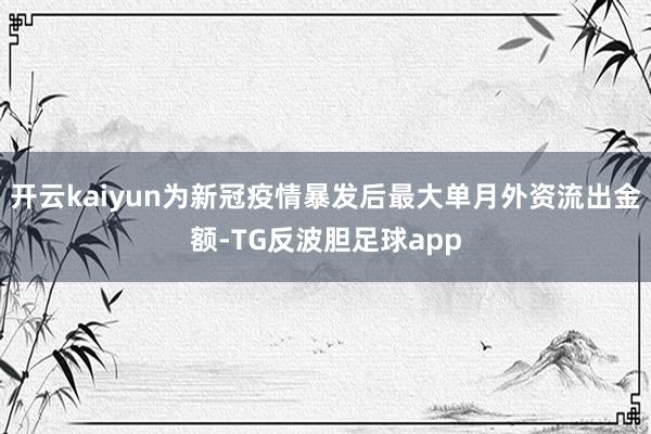 开云kaiyun为新冠疫情暴发后最大单月外资流出金额-TG反波胆足球app