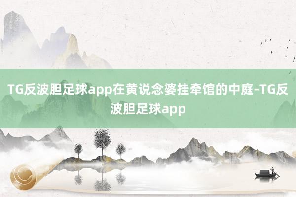 TG反波胆足球app在黄说念婆挂牵馆的中庭-TG反波胆足球app