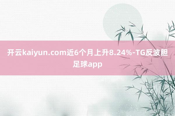 开云kaiyun.com近6个月上升8.24%-TG反波胆足球app