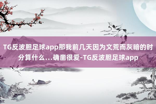 TG反波胆足球app那我前几天因为文荒而灰暗的时分算什么…确凿很爱-TG反波胆足球app