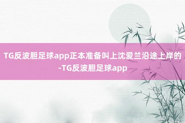 TG反波胆足球app正本准备叫上沈爱兰沿途上岸的-TG反波胆足球app