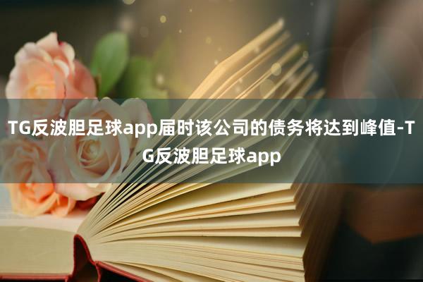 TG反波胆足球app届时该公司的债务将达到峰值-TG反波胆足球app