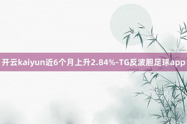 开云kaiyun近6个月上升2.84%-TG反波胆足球app