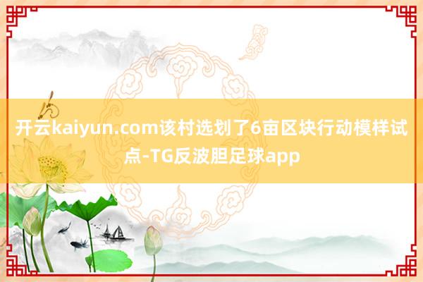 开云kaiyun.com该村选划了6亩区块行动模样试点-TG反波胆足球app