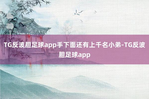 TG反波胆足球app手下面还有上千名小弟-TG反波胆足球app