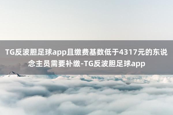 TG反波胆足球app且缴费基数低于4317元的东说念主员需要补缴-TG反波胆足球app