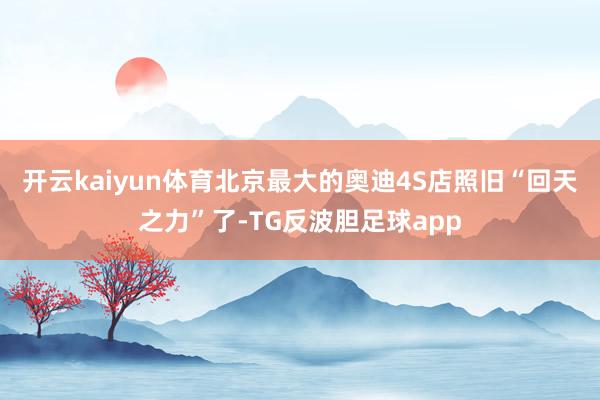 开云kaiyun体育北京最大的奥迪4S店照旧“回天之力”了-TG反波胆足球app