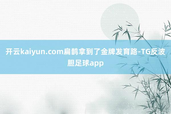 开云kaiyun.com扁鹊拿到了金牌发育路-TG反波胆足球app