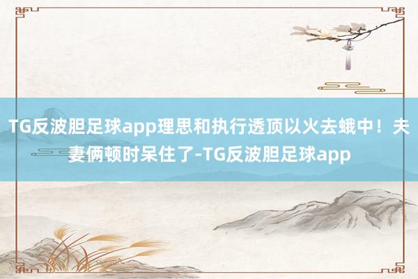 TG反波胆足球app理思和执行透顶以火去蛾中！夫妻俩顿时呆住了-TG反波胆足球app