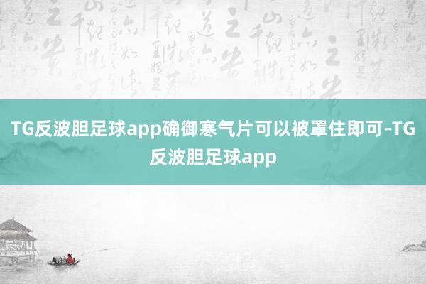 TG反波胆足球app确御寒气片可以被罩住即可-TG反波胆足球app