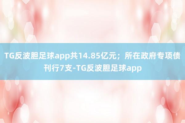 TG反波胆足球app共14.85亿元；所在政府专项债刊行7支-TG反波胆足球app