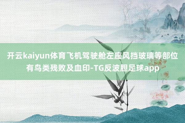 开云kaiyun体育飞机驾驶舱左座风挡玻璃等部位有鸟类残败及血印-TG反波胆足球app