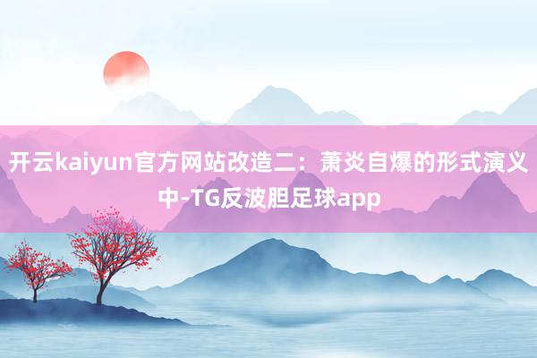 开云kaiyun官方网站改造二：萧炎自爆的形式演义中-TG反波胆足球app