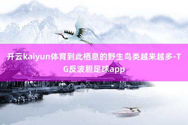 开云kaiyun体育到此栖息的野生鸟类越来越多-TG反波胆足球app