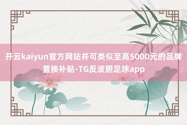 开云kaiyun官方网站并可类似至高5000元的品牌置换补贴-TG反波胆足球app