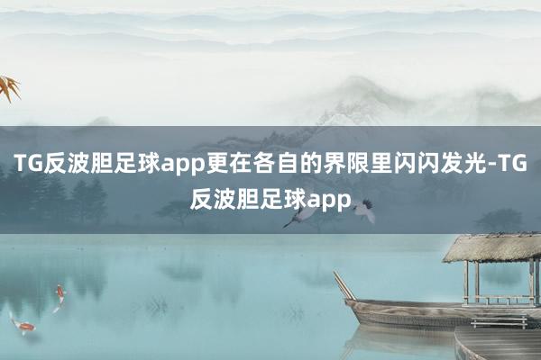 TG反波胆足球app更在各自的界限里闪闪发光-TG反波胆足球app