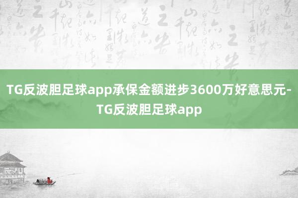 TG反波胆足球app承保金额进步3600万好意思元-TG反波胆足球app