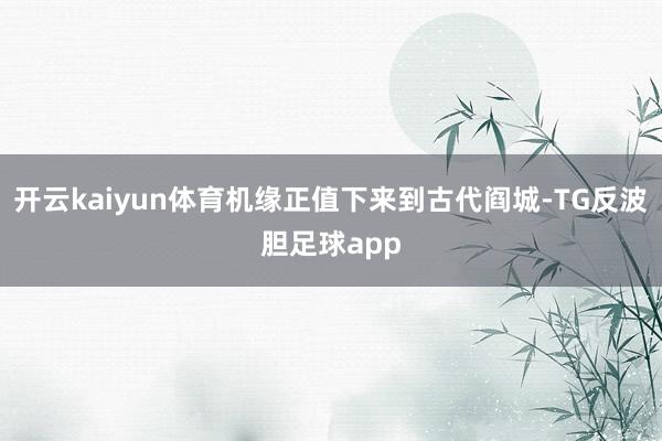 开云kaiyun体育机缘正值下来到古代阎城-TG反波胆足球app