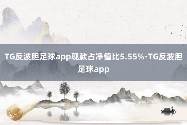 TG反波胆足球app现款占净值比5.55%-TG反波胆足球app