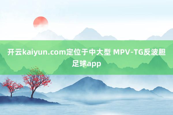 开云kaiyun.com定位于中大型 MPV-TG反波胆足球app