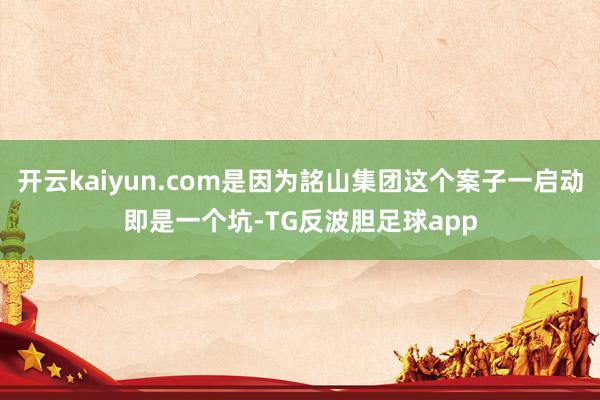 开云kaiyun.com是因为詺山集团这个案子一启动即是一个坑-TG反波胆足球app