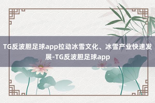 TG反波胆足球app拉动冰雪文化、冰雪产业快速发展-TG反波胆足球app