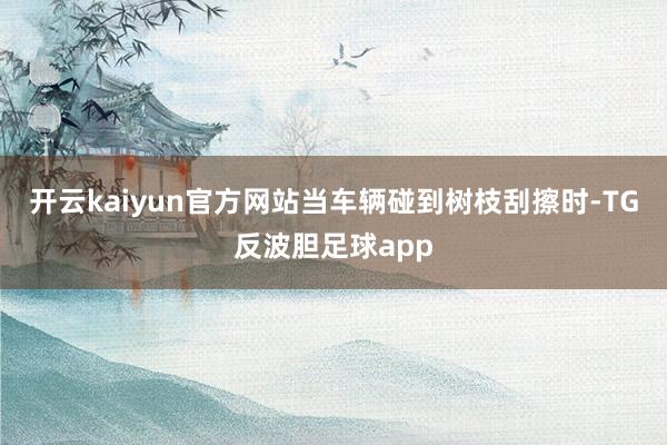 开云kaiyun官方网站当车辆碰到树枝刮擦时-TG反波胆足球app