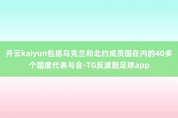 开云kaiyun包括乌克兰和北约成员国在内的40多个国度代表与会-TG反波胆足球app